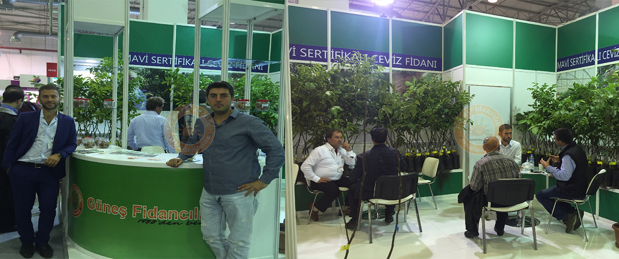 gunes-fidancilik-chandler-fuar