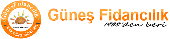 Güneş Fidancılık