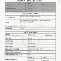 acik-koklu-ceviz-fidani-bilecik-sertifikasi