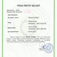 tuplu-ceviz-fidani-uretim-belgesi